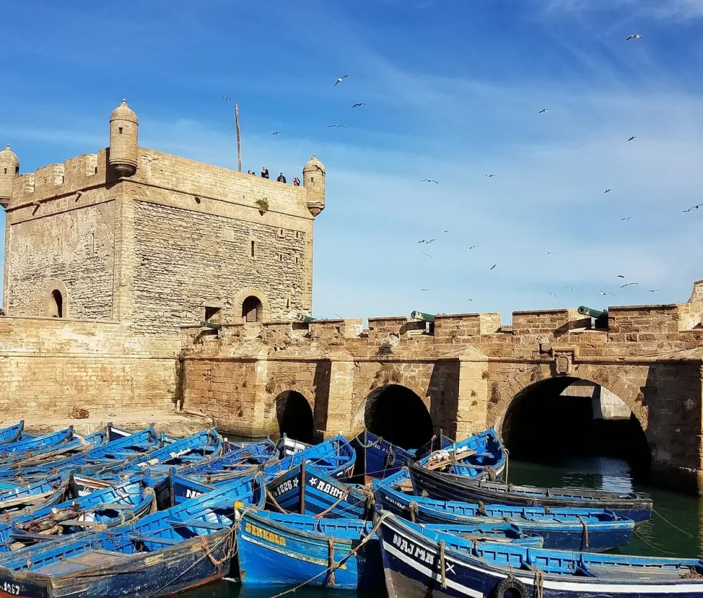 20161110-100310-largejpg