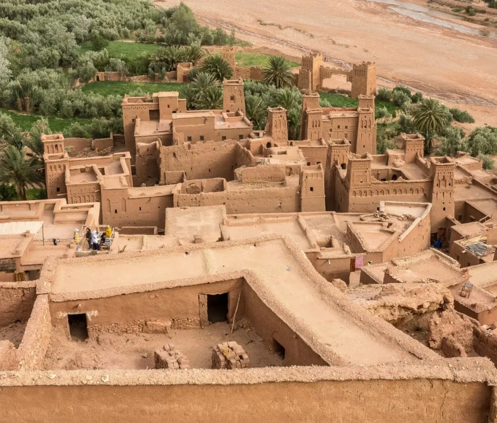 freepik__upload__1311 (1)