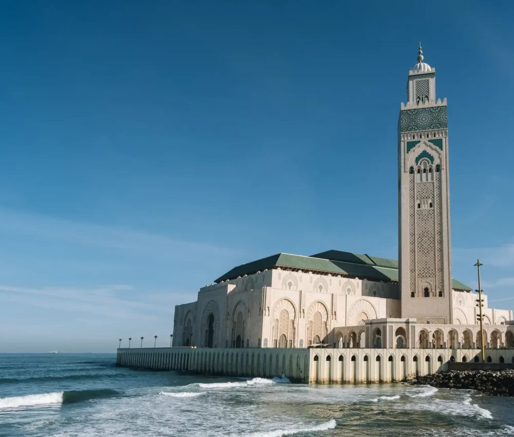 freepik__upload__38868