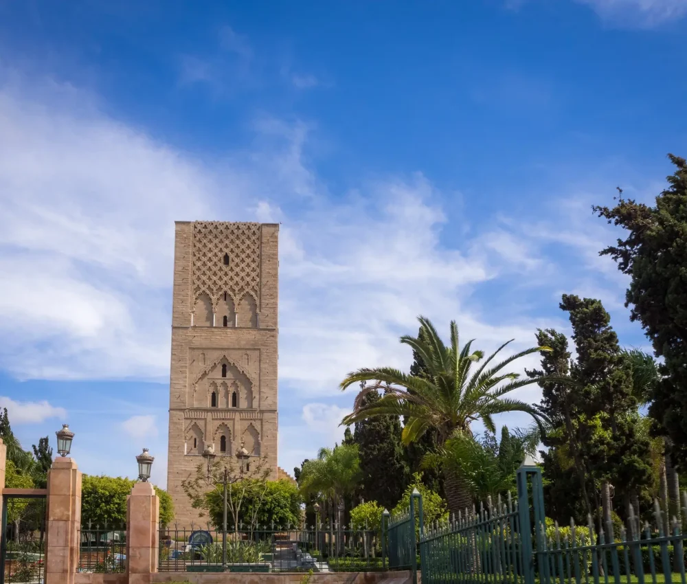 freepik__upload__55109